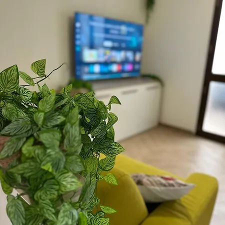 Ciuri Di Sicilia *
